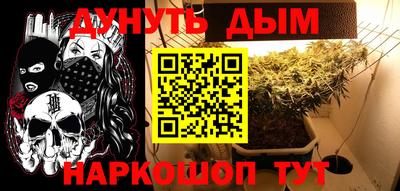 PSILOCYBIN Будённовск