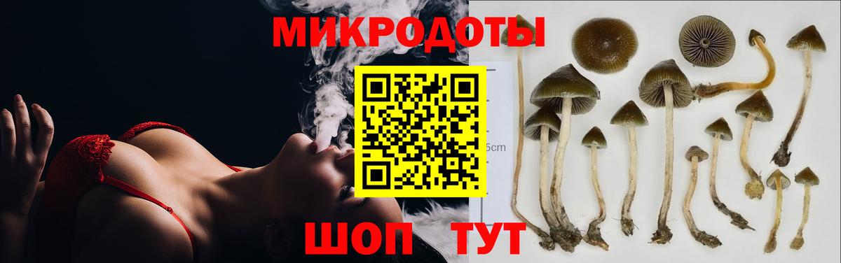 Сальск  Псилоцибиновые грибы GOLDEN TEACHER  Вход с VPN 